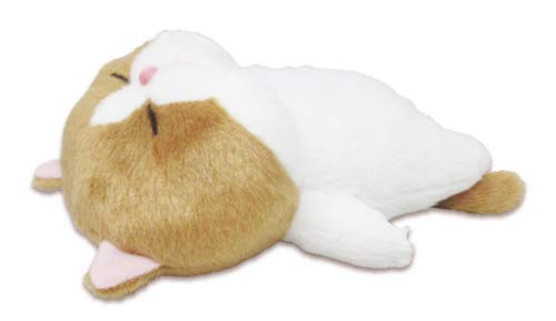 ぬいぐるみ ぼうねこ ちゃぼう