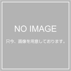 W-21/W-210 共通替刃 ワイドカット刃 【 万能目 】 刃長 210㎜