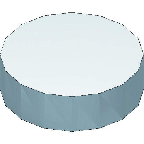 白光　排気フィルター　２個入
