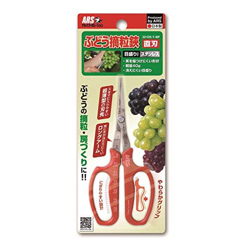 ぶどう摘粒鋏 直刃 BP