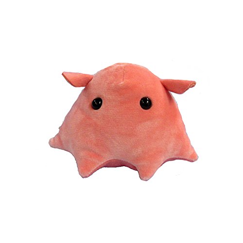 海中散歩 ふわもこS ふわもこシリーズ Sサイズ メンダコ