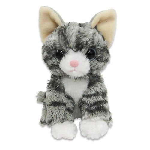 ぬいぐるみ MSサイズ MS グレー猫